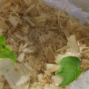 Лиственные опилки оптом в Череповце от завода-производителя Лигнум Ресурс