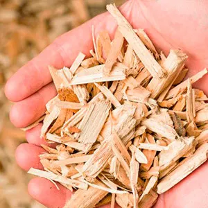 Сосновая щепа оптом в Череповце от завода-производителя Лигнум Ресурс