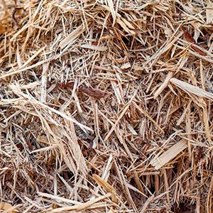 Щепа для арболита оптом в Череповце и других различных марок заказать от 16 тонн