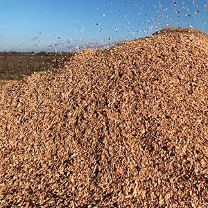 Щепа топливная оптом в Череповце от завода-производителя Лигнум Ресурс